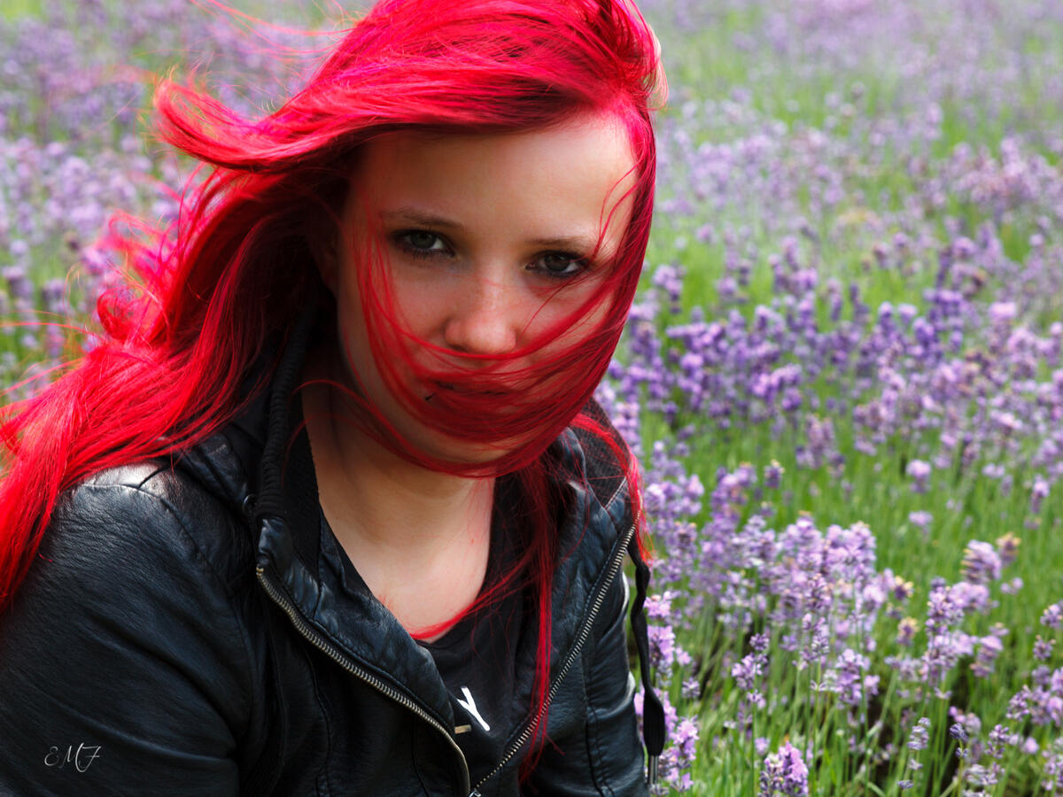 Fari Lavendel Fari Lavendel